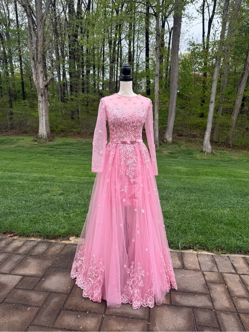 Long Sleeve Pink Mesh & Tulle Gown